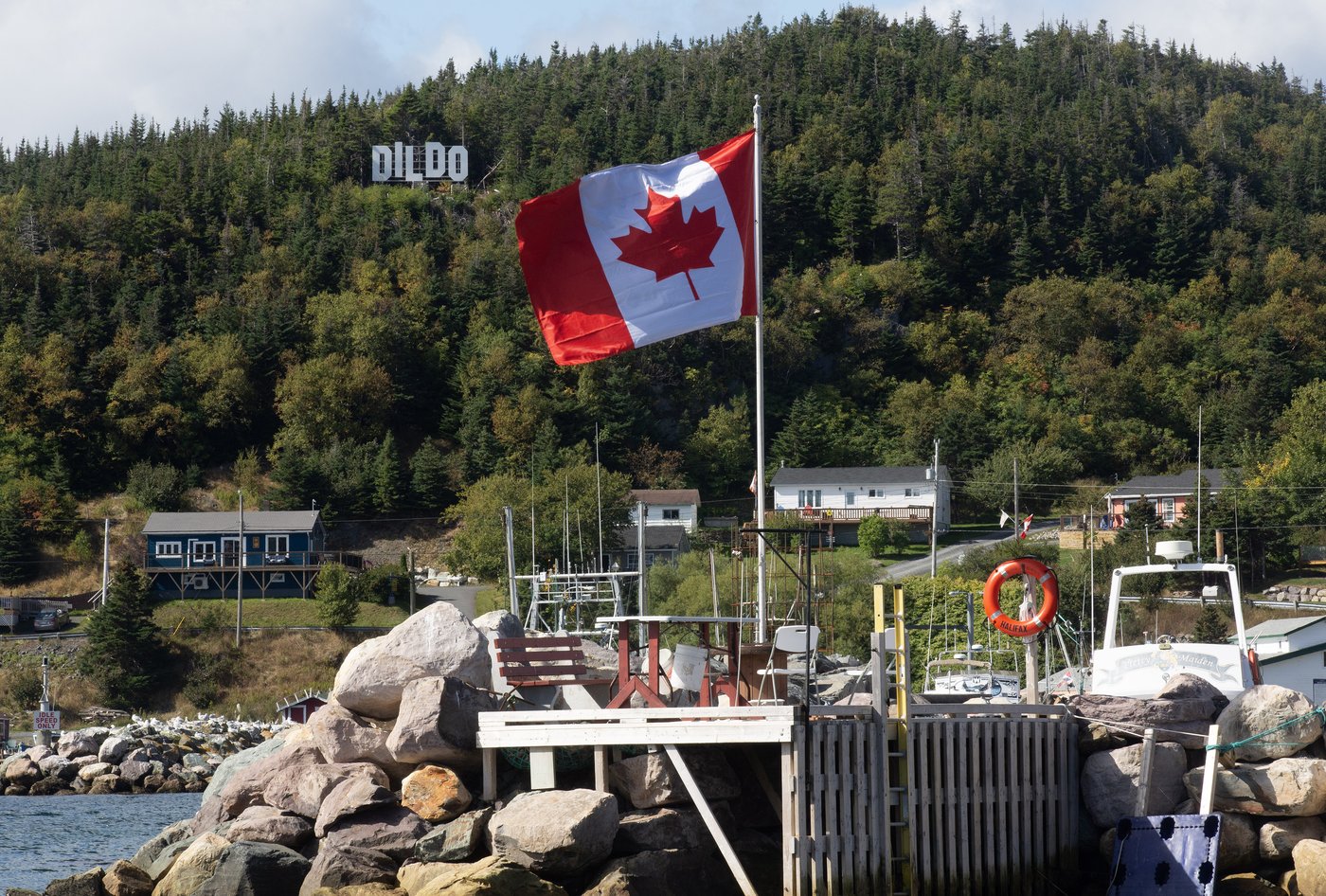 Residents of Dildo, N.L., express support for 'honorary mayor' Jimmy Kimmel | iNFOnews.ca Residents of Dildo, N.L., express support for 'honorary mayor' Jimmy Kimmel | iNFOnews.ca