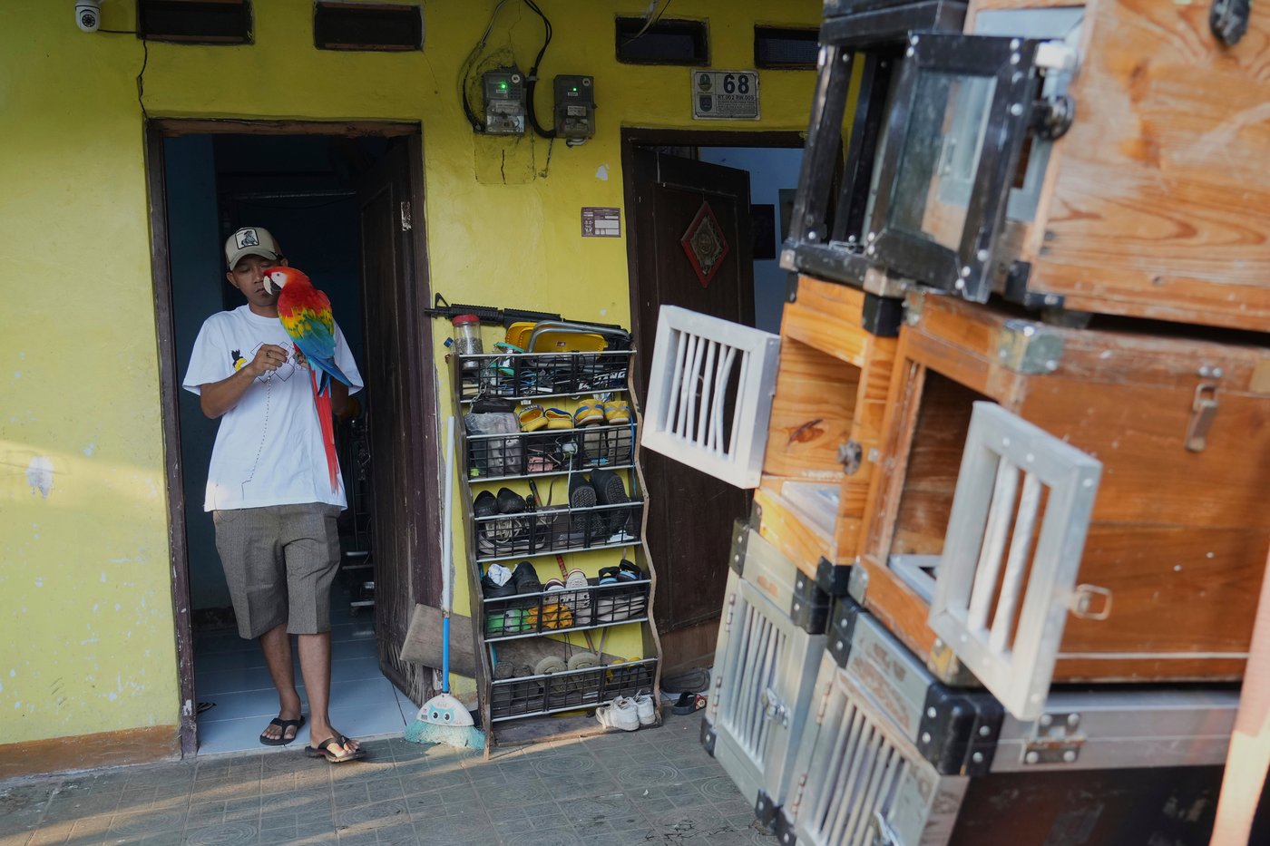 Photos show how an Indonesian motorbike mechanic became a macaw trainer | iNFOnews.ca