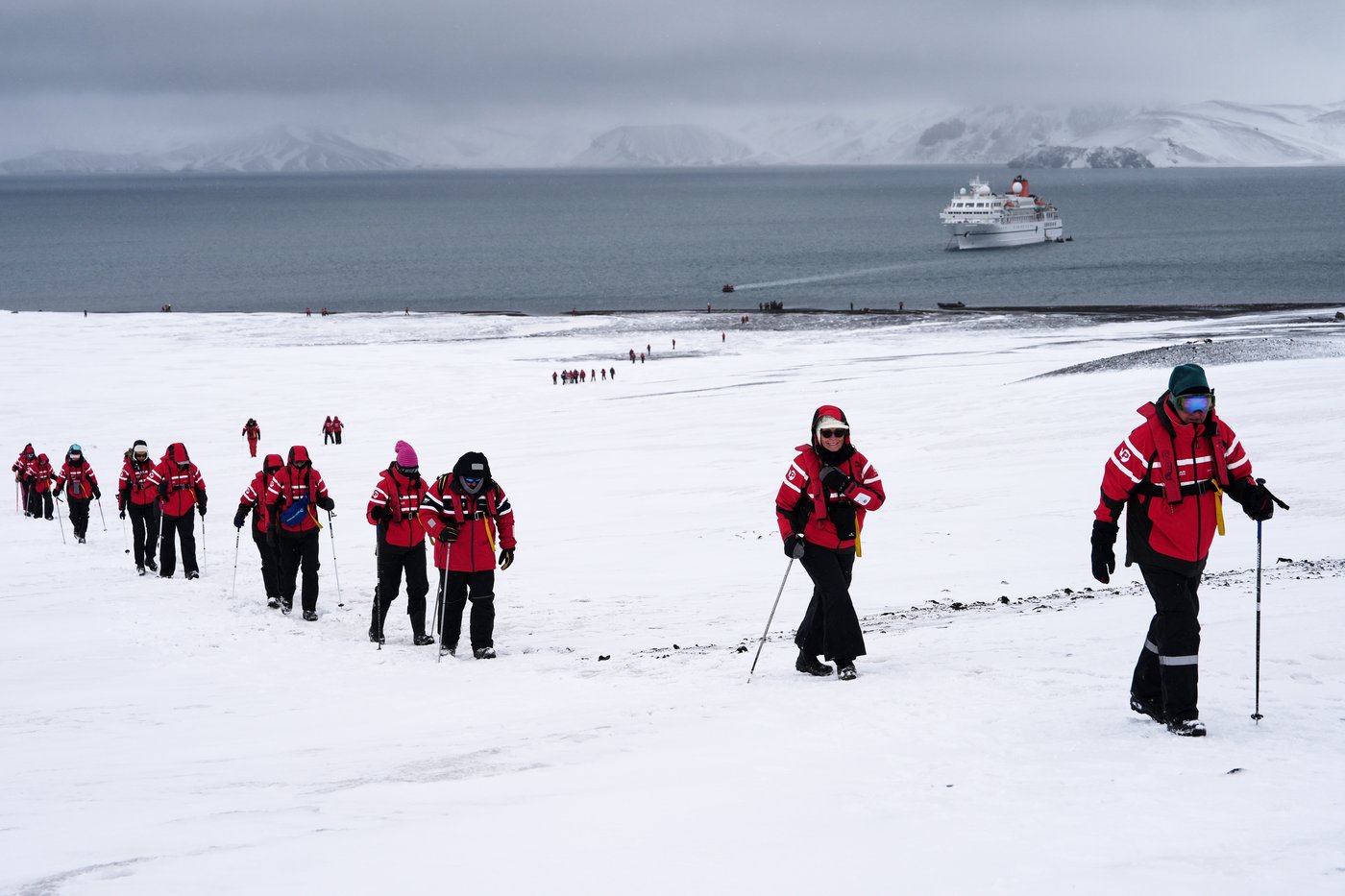 In Antarctica, photos show a remote area teeming with life amid growing risks from climate change | iNFOnews.ca