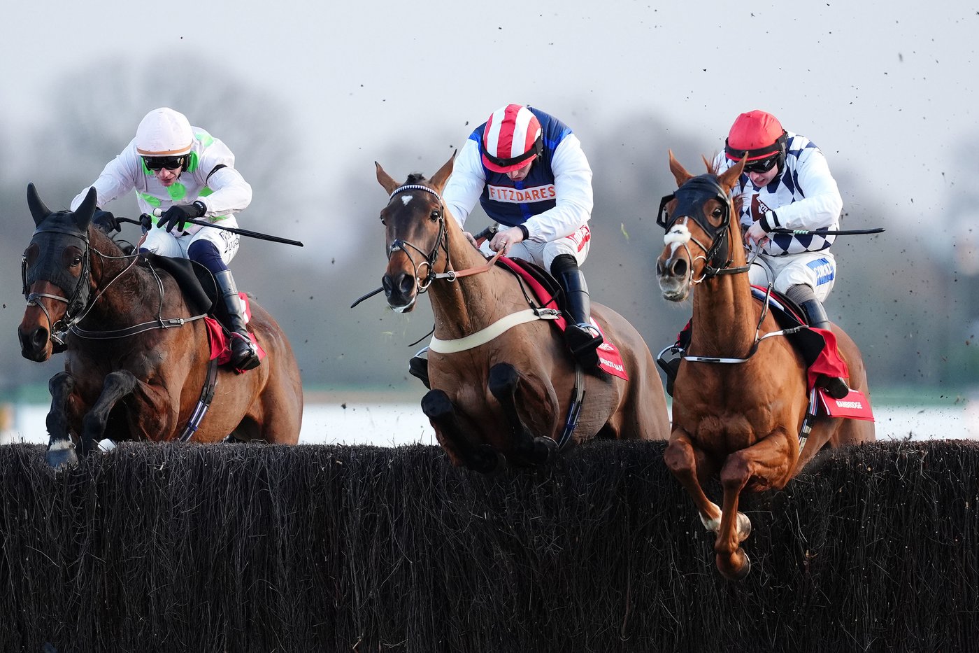 Harry Redknapp's horse The Jukebox Man wins the King George VI Chase | iNFOnews.ca