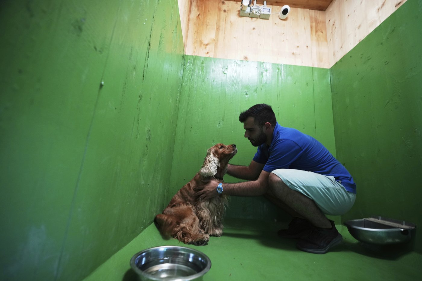 Rome's airport opens luxurious dog hotel with pampering services | iNFOnews.ca