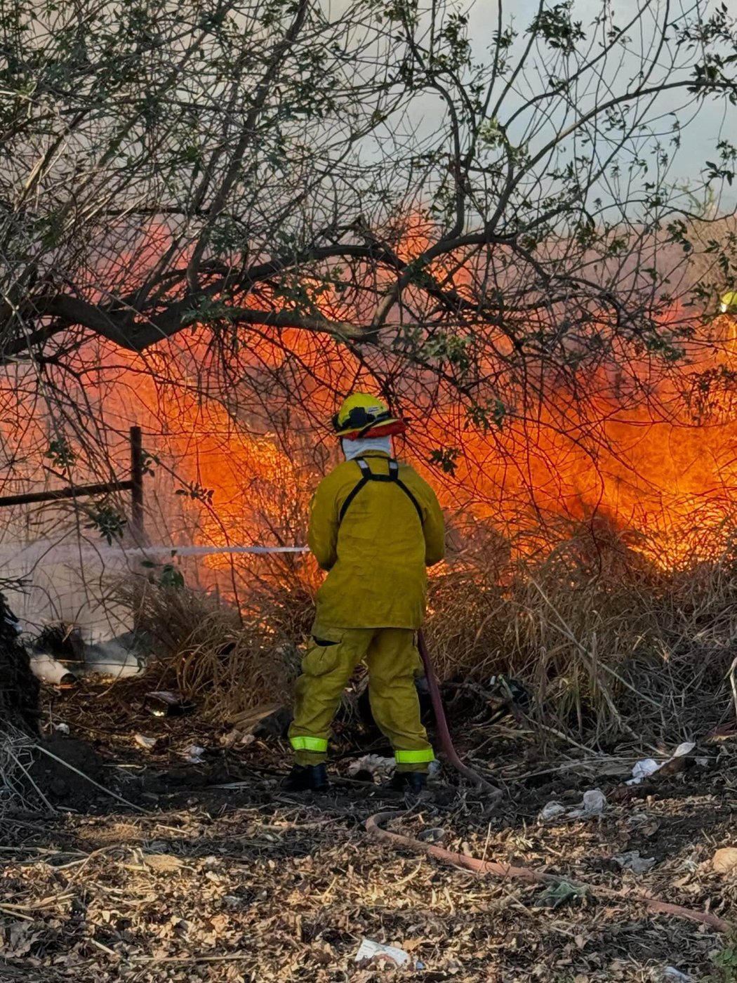 Maui officials lift evacuations, close shelters after wildfire threat to north shore town recedes | iNFOnews.ca