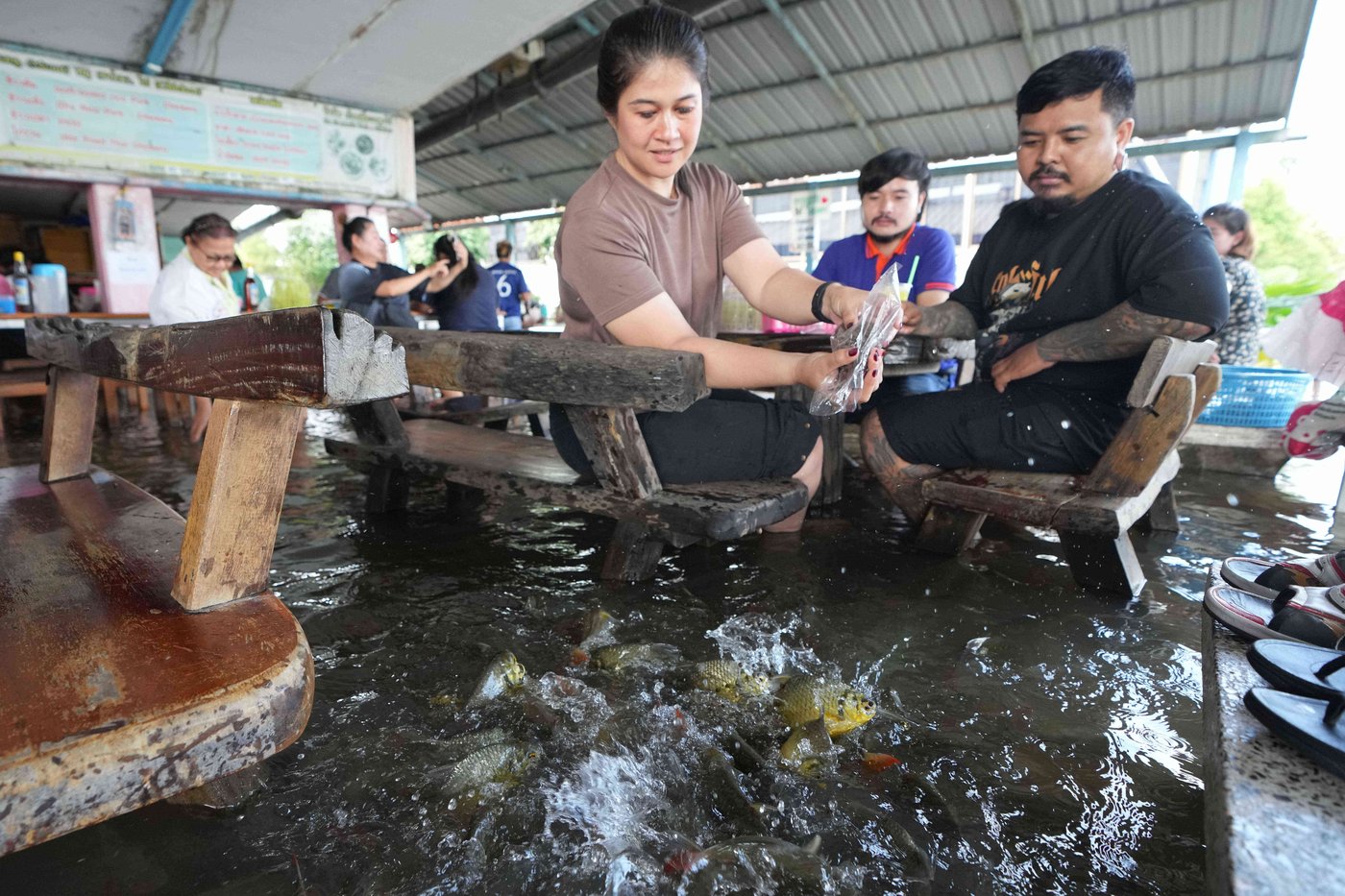A flooded restaurant in Thailand brings delight with swimming fish among diners | iNFOnews.ca A flooded restaurant in Thailand brings delight with swimming fish among diners | iNFOnews.ca
