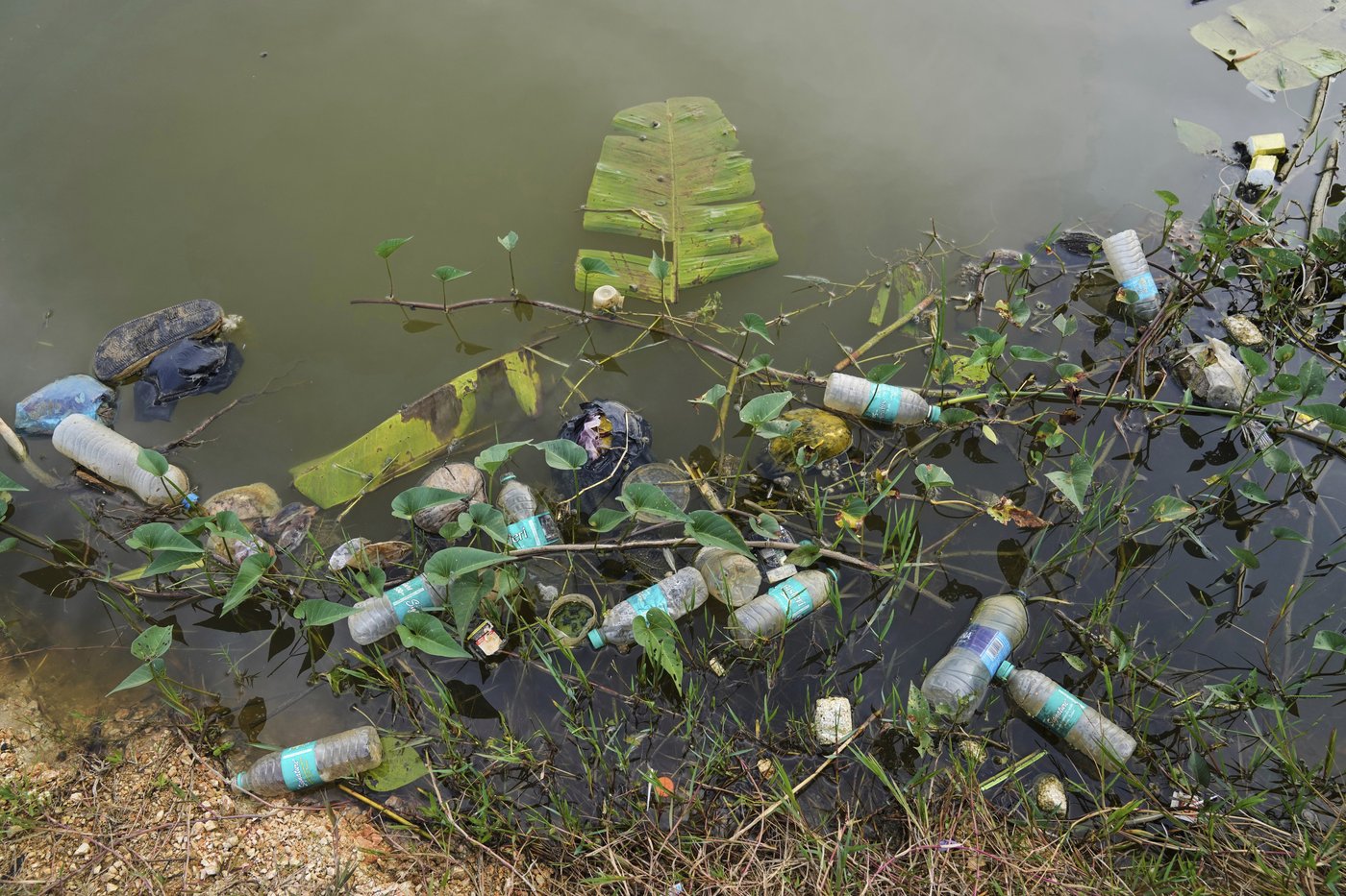 As climate risks grow, India's Bengaluru is trying to save its vanishing lakes | iNFOnews.ca As climate risks grow, India's Bengaluru is trying to save its vanishing lakes | iNFOnews.ca