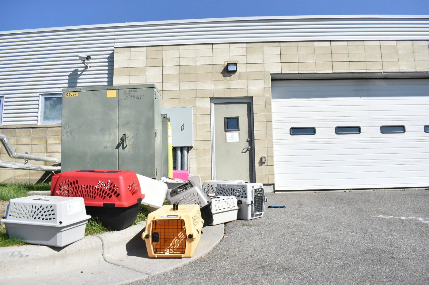 Meth burn by FBI smokes out Montana animal shelter | iNFOnews.ca