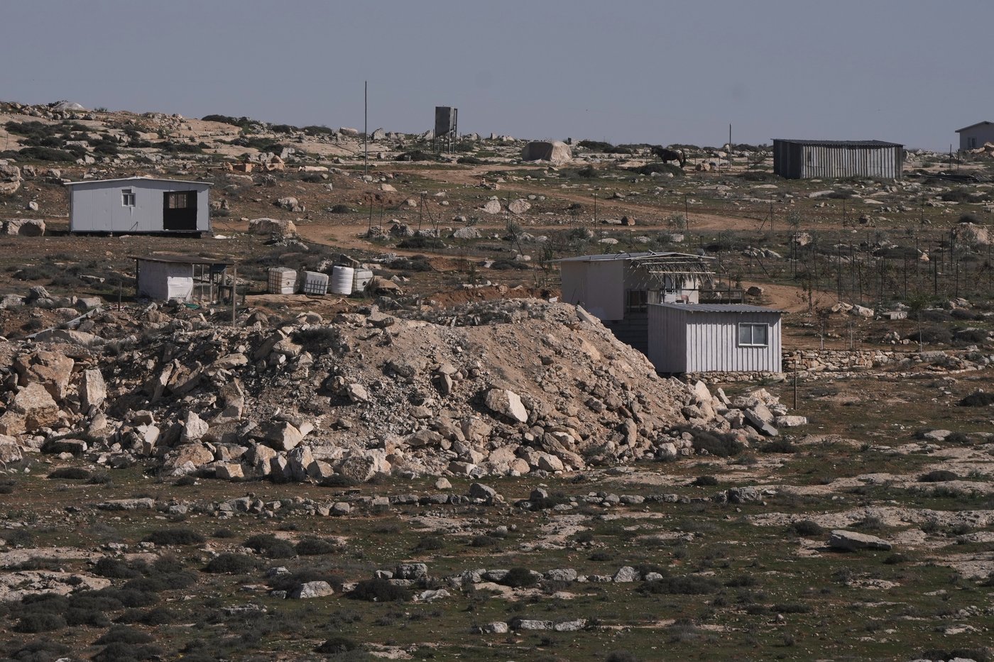 Israeli settlers forcibly enter Palestinian home and kill sheep in latest West Bank attack | iNFOnews.ca