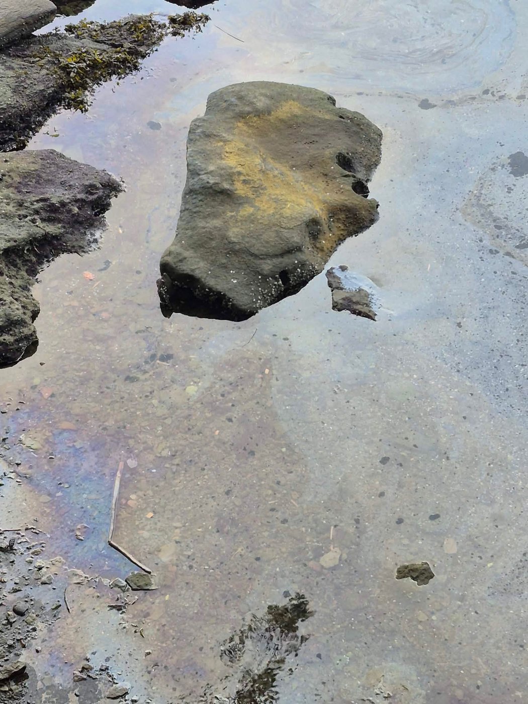 Cleanup underway after oily spill in waters near Nanaimo, B.C. | iNFOnews.ca