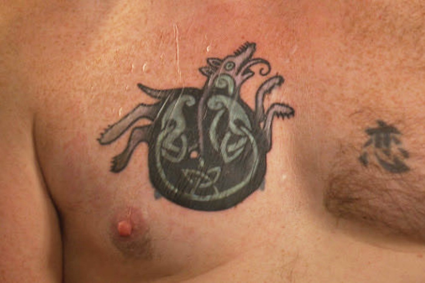 Maine Senate candidate Platner says tattoo recognized as Nazi symbol has been covered | iNFOnews.ca Maine Senate candidate Platner says tattoo recognized as Nazi symbol has been covered | iNFOnews.ca