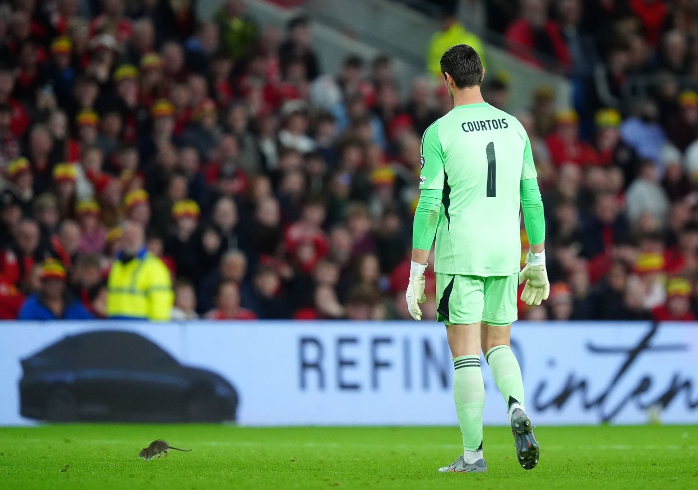 A rat briefly delays World Cup qualifier between Wales and Belgium | iNFOnews.ca A rat briefly delays World Cup qualifier between Wales and Belgium | iNFOnews.ca