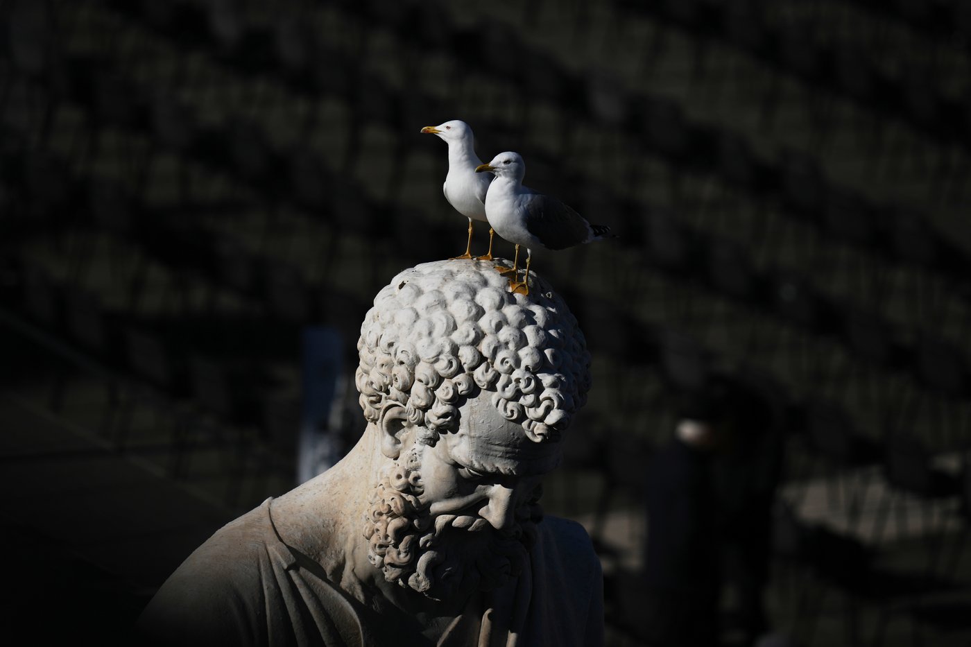 The top photos of the day by AP's photojournalists | iNFOnews.ca