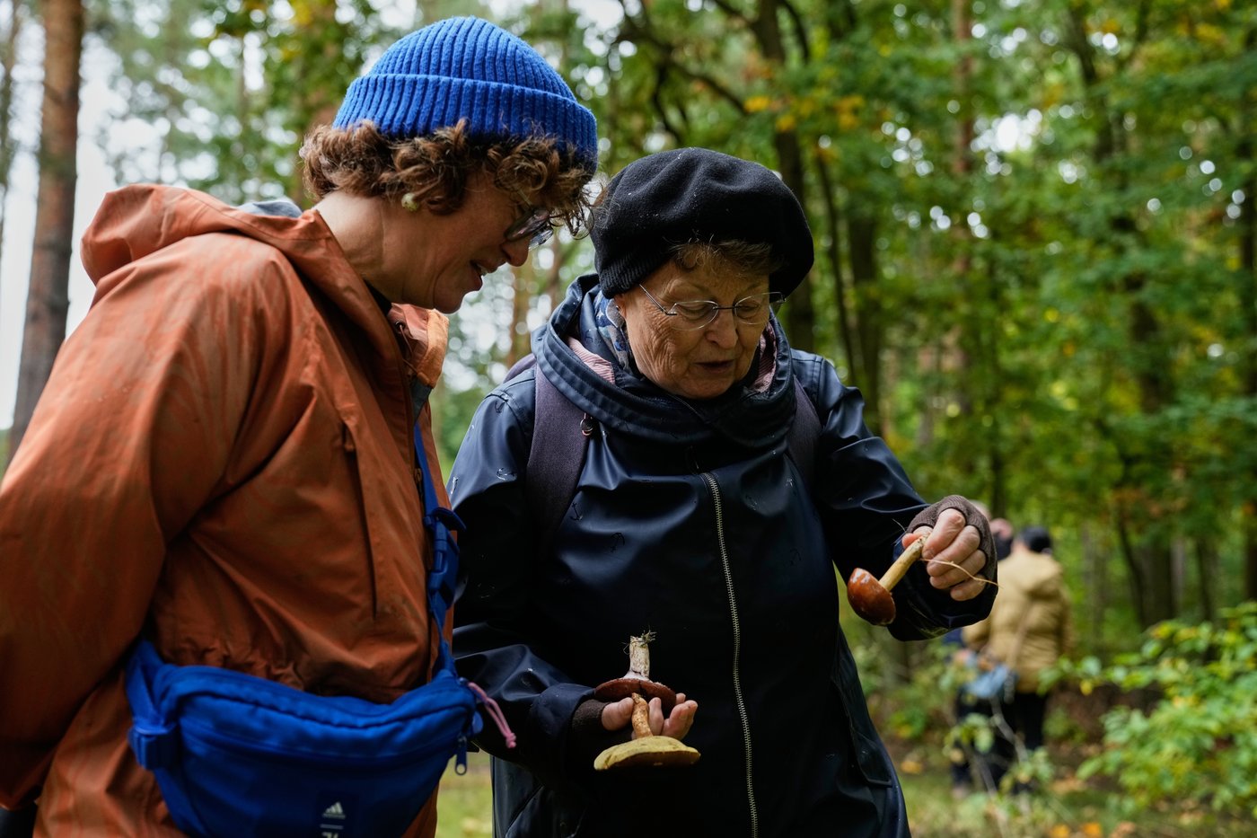 Mushroom hunting in Germany sees a revival thanks to veganism and medicinal fungi, in photos | iNFOnews.ca
