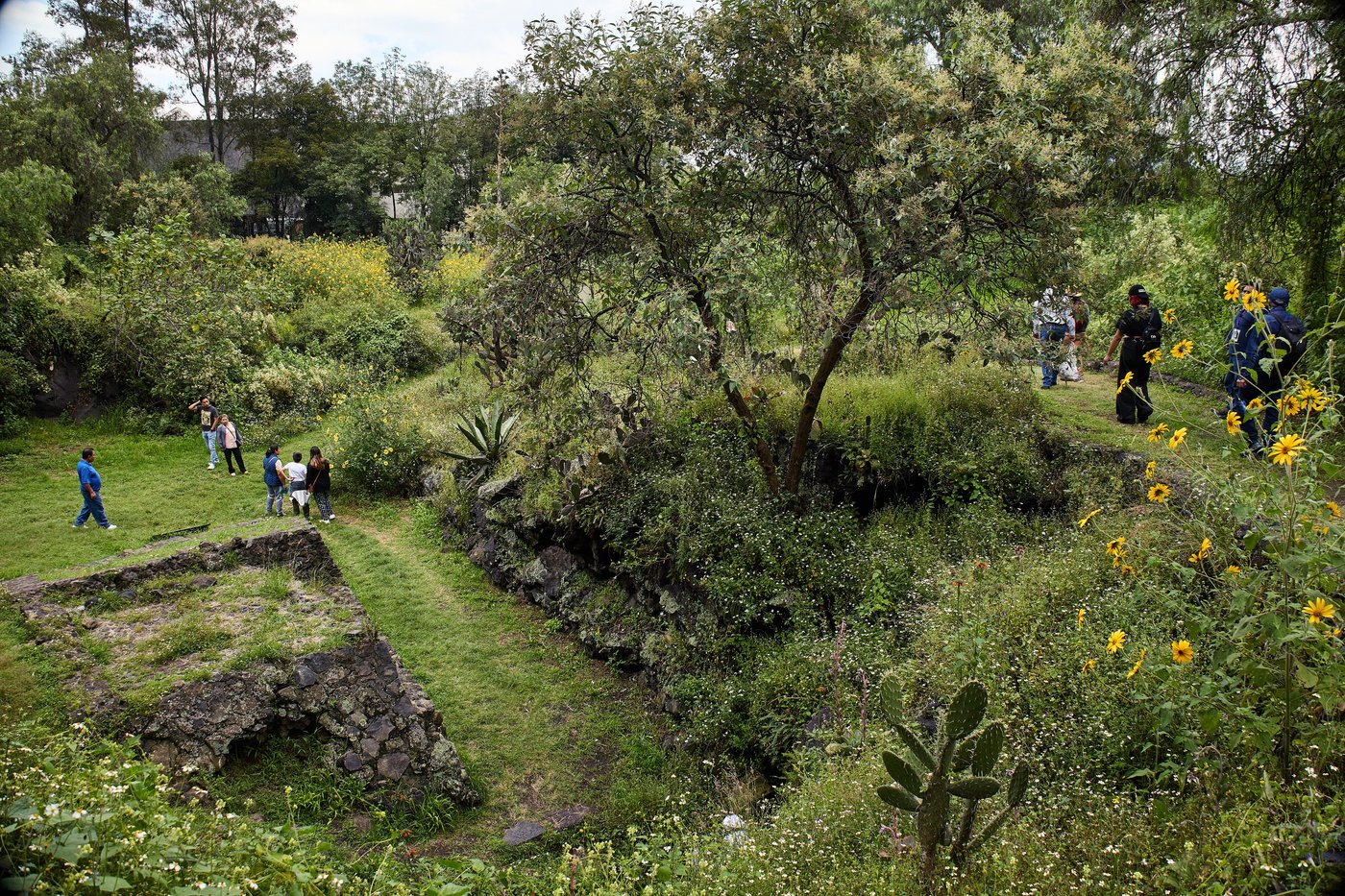 Experts lead tours uncovering Mexico’s hidden ancient sites | iNFOnews.ca Experts lead tours uncovering Mexico’s hidden ancient sites | iNFOnews.ca