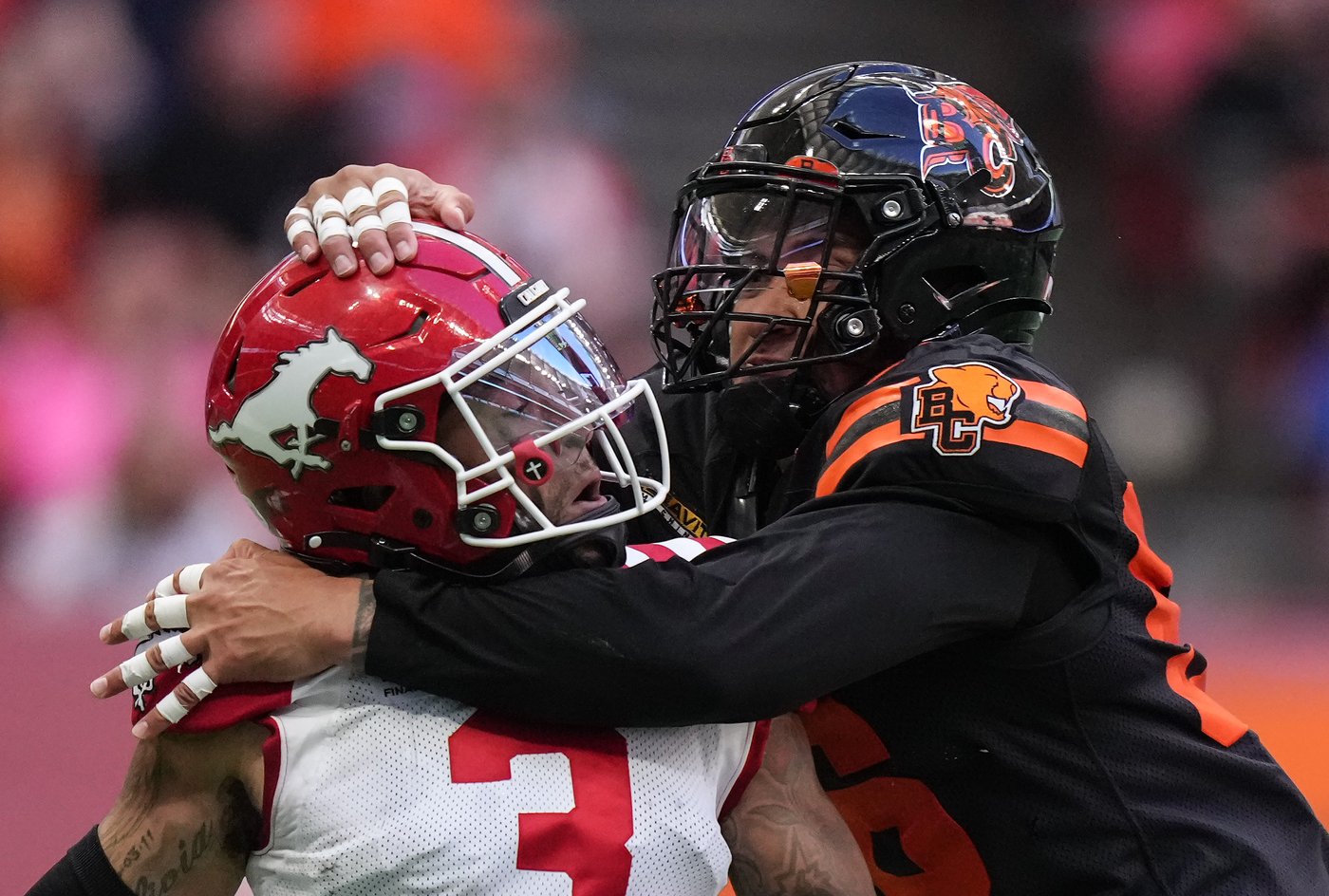 Surging Lions clinch playoff berth with 38-24 win over Stampeders | iNFOnews.ca