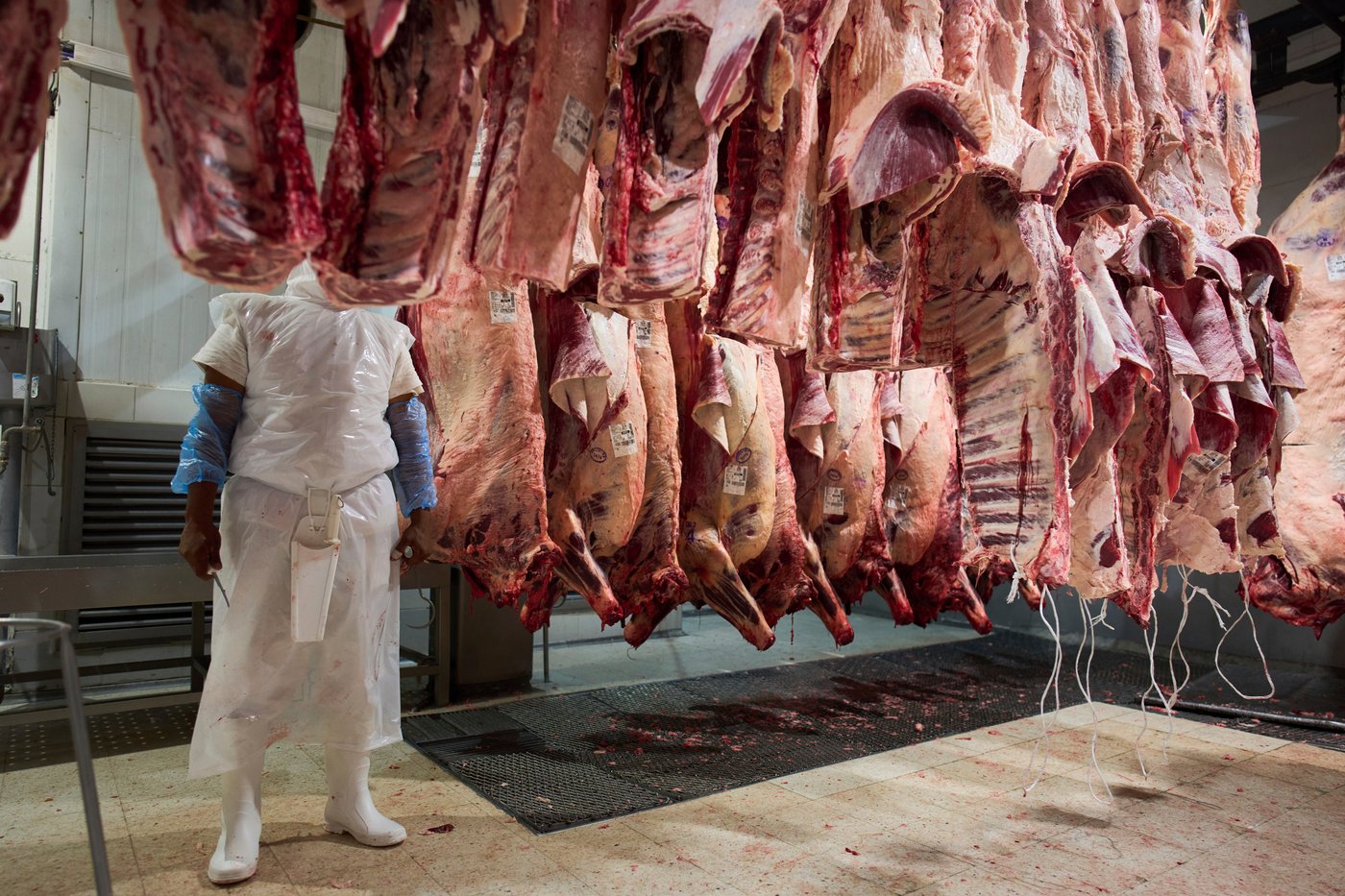 The top photos of the day by AP's photojournalists | iNFOnews.ca