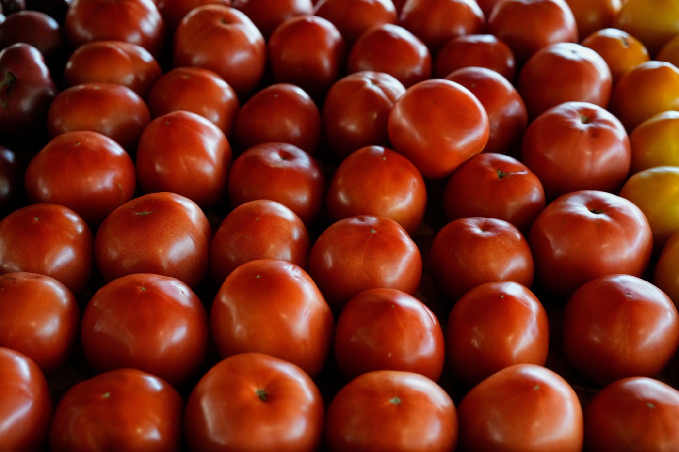 Judges order Trump administration to use emergency reserves for SNAP payments during the shutdown | iNFOnews.ca Judges order Trump administration to use emergency reserves for SNAP payments during the shutdown | iNFOnews.ca