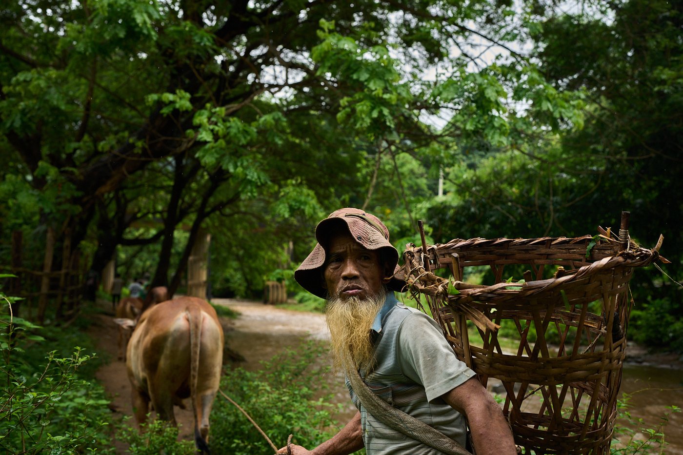 Starving children screaming for food as US aid cuts unleash devastation and death across Myanmar | iNFOnews.ca