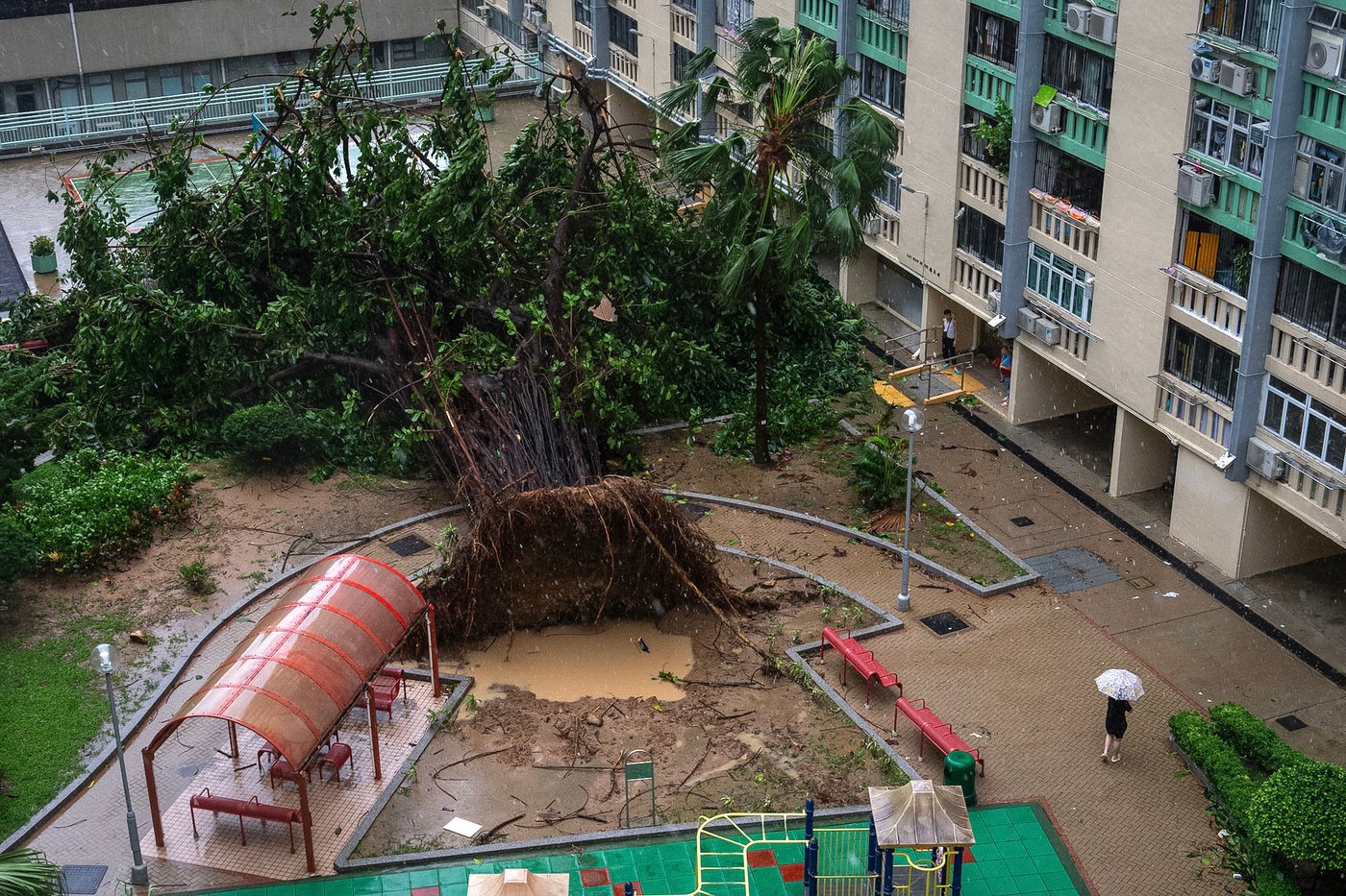 Typhoon Ragasa batters Hong Kong and south China after killing dozens in Taiwan and the Philippines | iNFOnews.ca