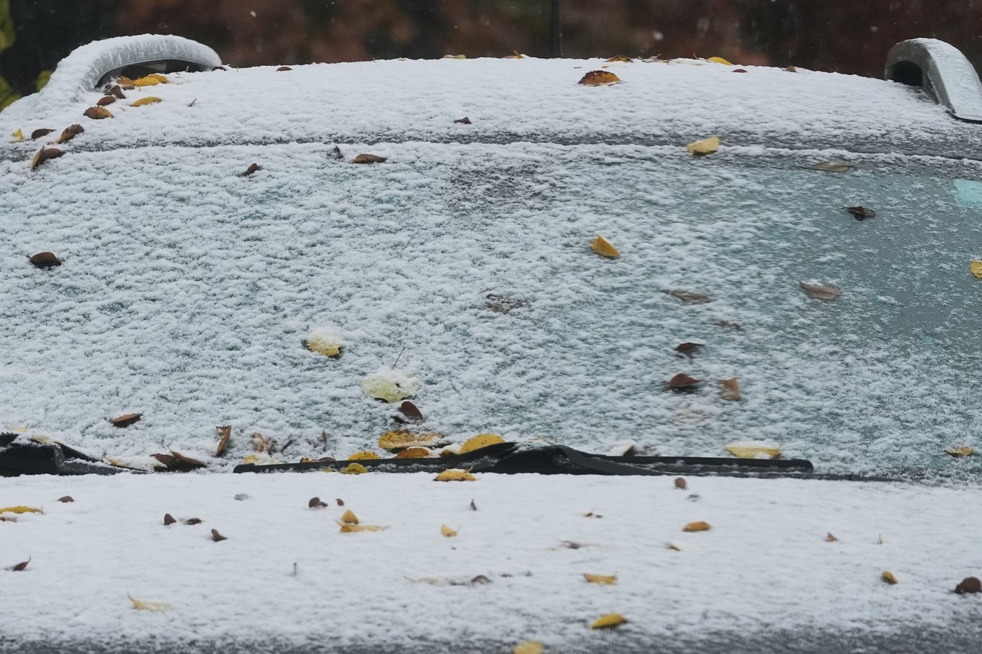 Meteorologists warn of 'intense' snow in Great Lakes states and record lows in South | iNFOnews.ca Meteorologists warn of 'intense' snow in Great Lakes states and record lows in South | iNFOnews.ca