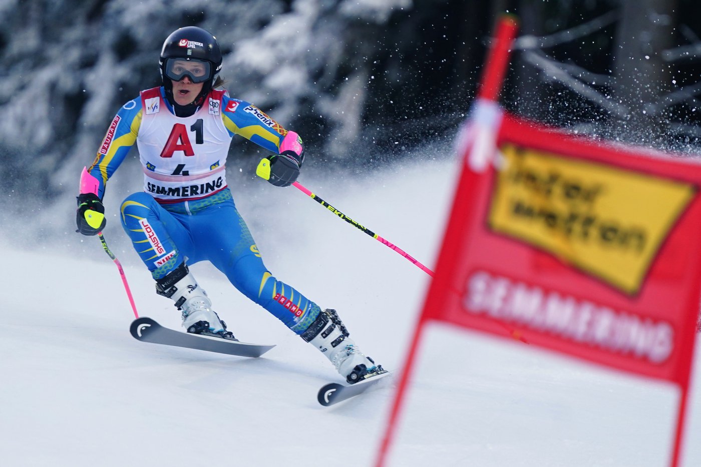 Austrian skier Scheib takes World Cup GS for her 3rd win of the season. Shiffrin places 6th | iNFOnews.ca