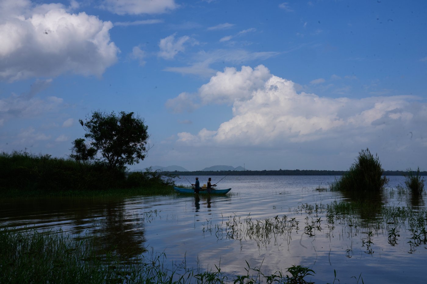 Sri Lankan freshwater fishers keen to turn invasive species threat into an opportunity | iNFOnews.ca