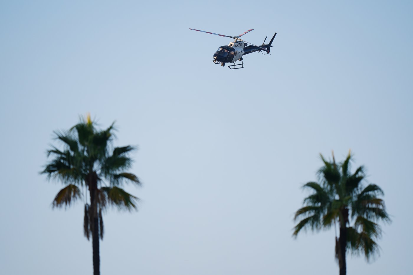 Photo Gallery: Dodgers outlast Jays 6-5 in 18-inning marathon World Series Game 3 | iNFOnews.ca