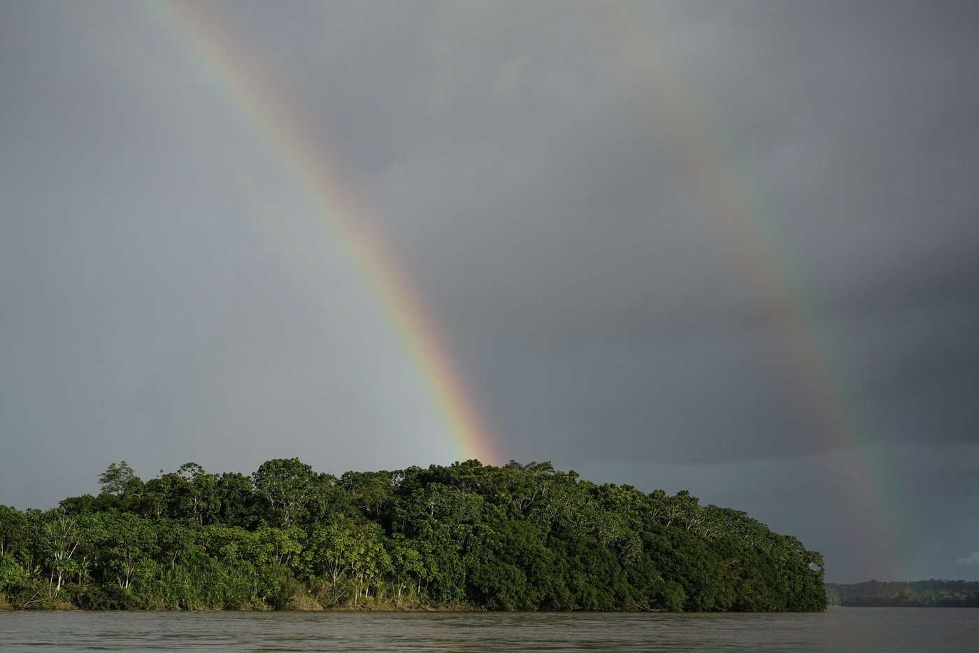 'It’s not safe to live here.' Colombia is deadliest country for environmental defenders | iNFOnews.ca