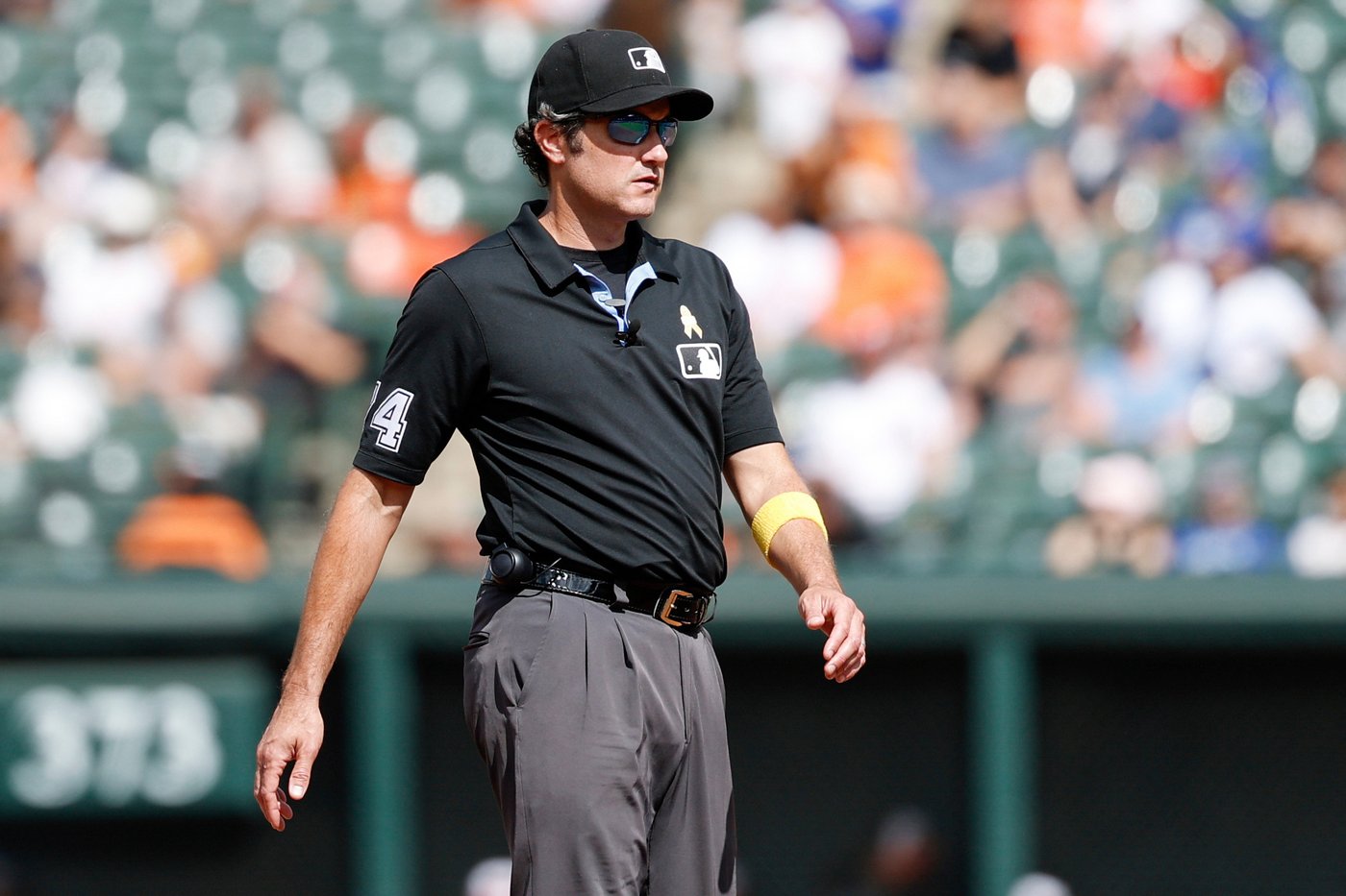 Wegner is World Series umpire crew chief. Hamari, Johnson, Little, Tumpane make Fall Classic debuts | iNFOnews.ca
