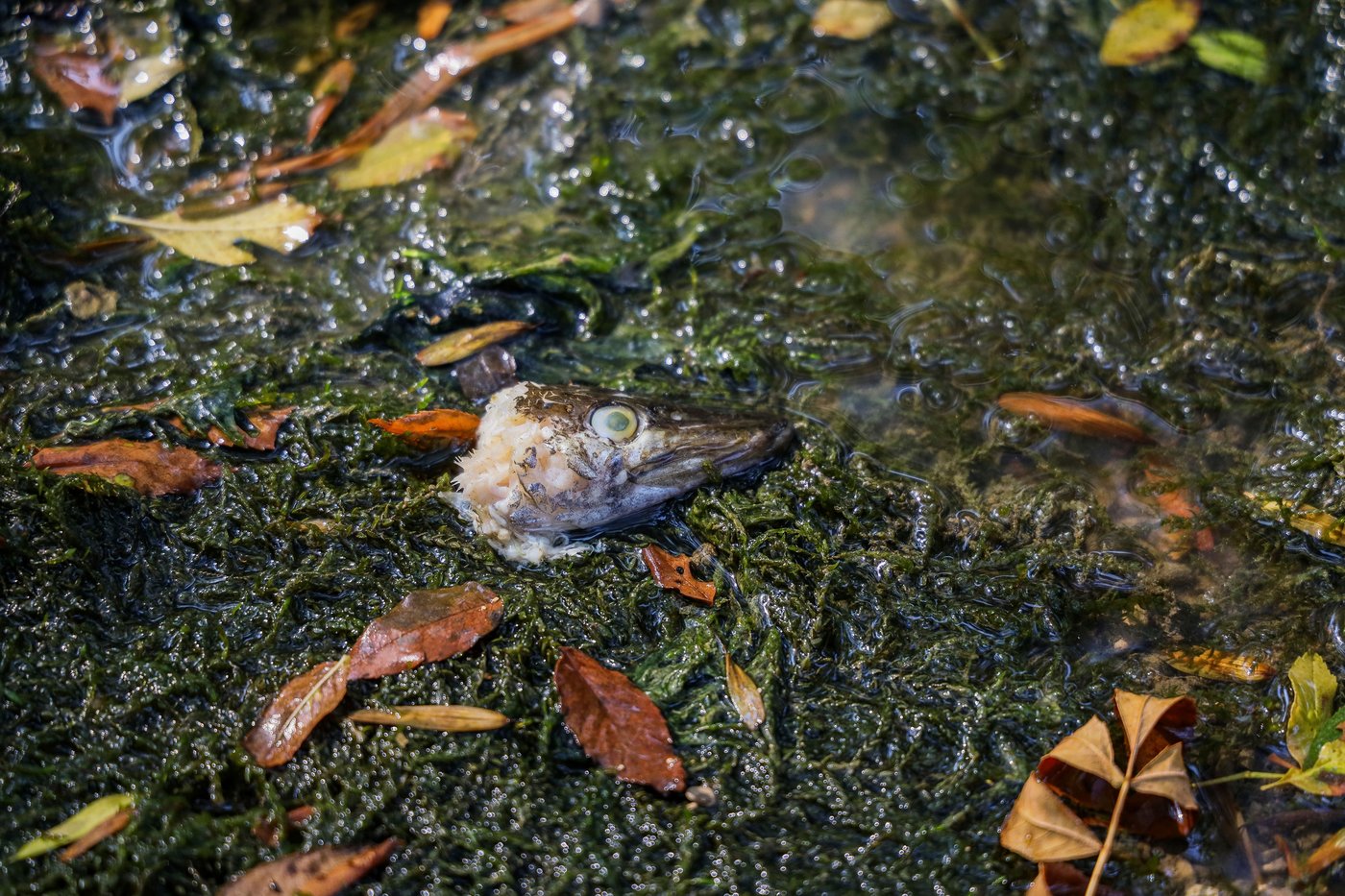 AP photographers capture destruction, heartache and resilience as climate change advanced in 2025 | iNFOnews.ca AP photographers capture destruction, heartache and resilience as climate change advanced in 2025 | iNFOnews.ca