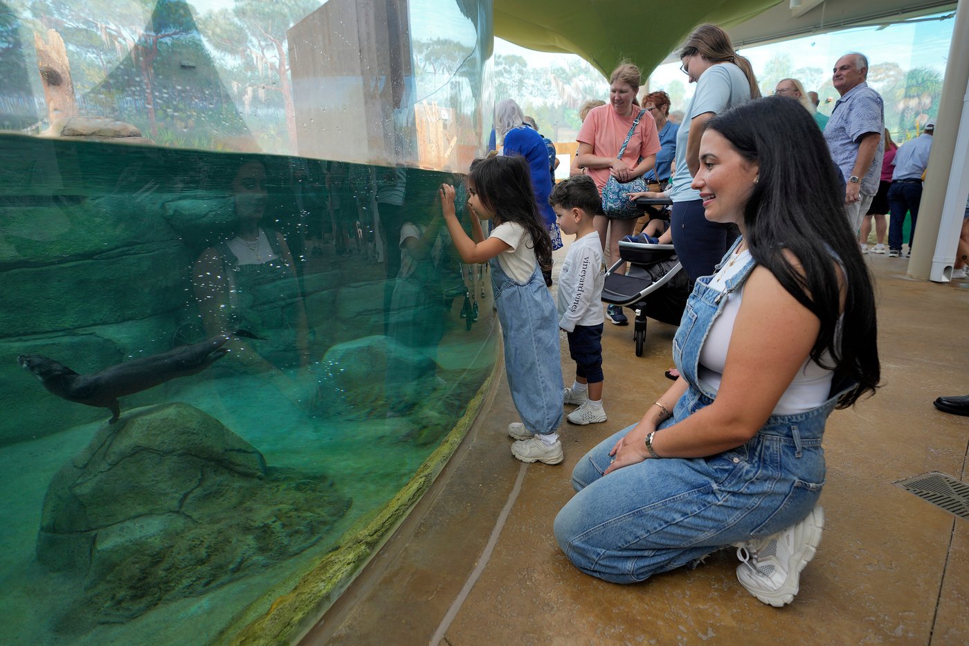 Florida's Mote Marine Laboratory relocates hundreds of marine animals to new $130M facility | iNFOnews.ca