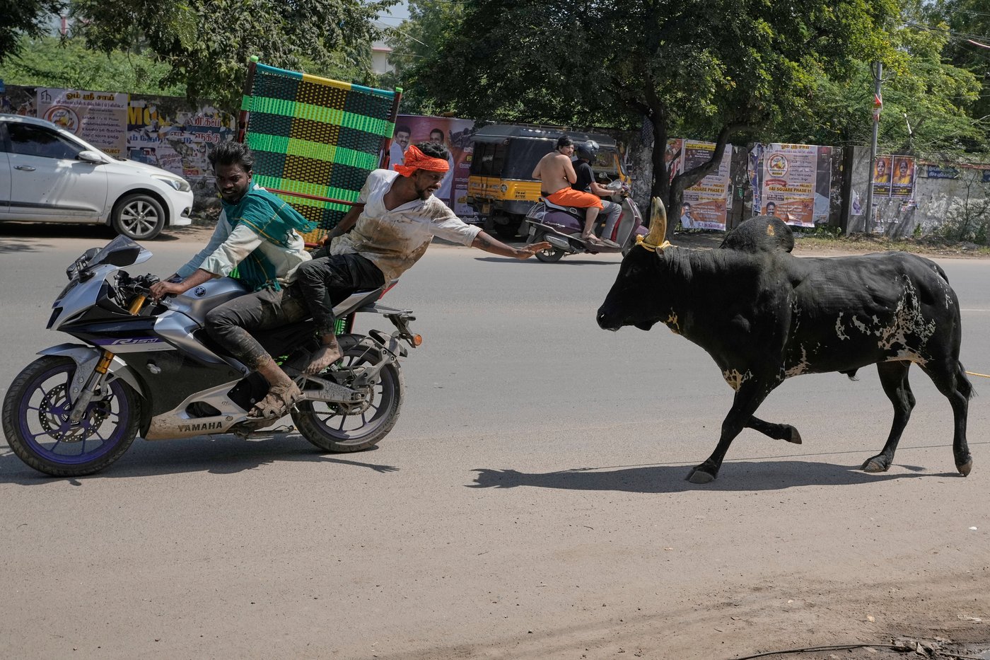 PHOTO ESSAY: Centuries-old bull festival in southern India remains a popular draw | iNFOnews.ca