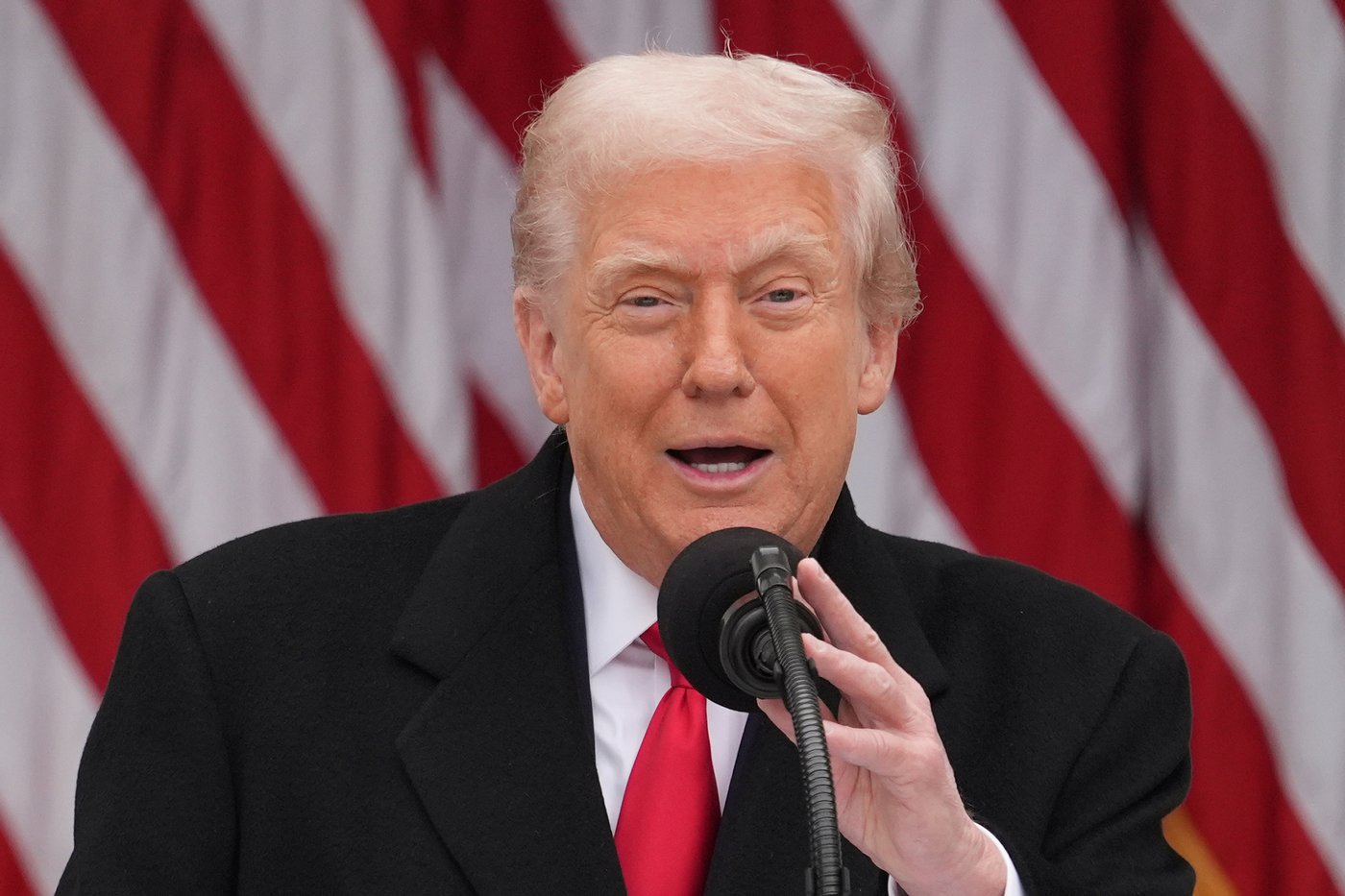 Trump administration plan to review Biden-era refugees sparks worry and uncertainty | iNFOnews.ca Trump administration plan to review Biden-era refugees sparks worry and uncertainty | iNFOnews.ca