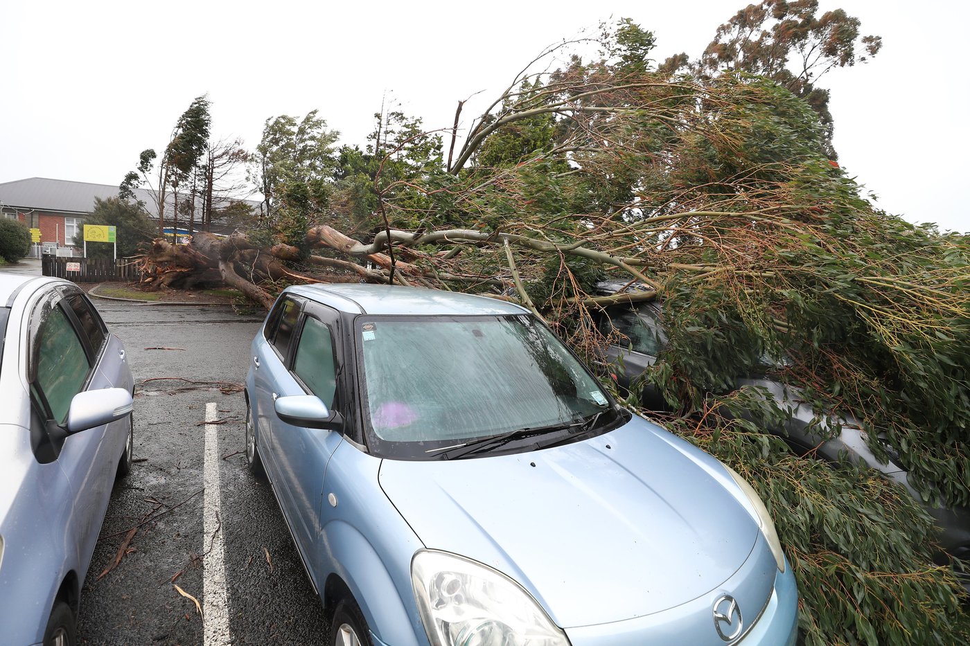 Flights canceled and a 'mega strike' disrupted as dangerous winds hit New Zealand | iNFOnews.ca Flights canceled and a 'mega strike' disrupted as dangerous winds hit New Zealand | iNFOnews.ca
