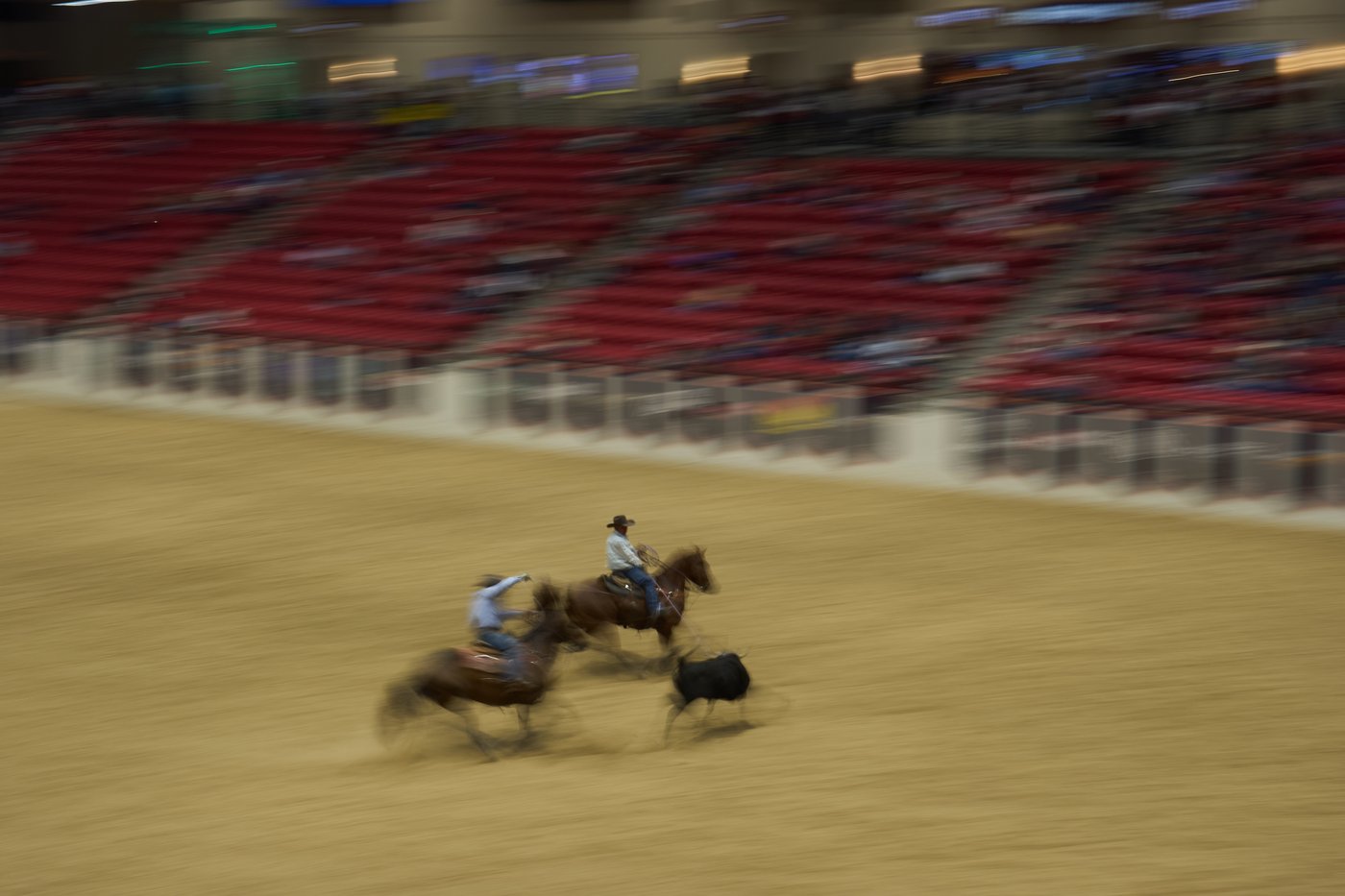 Threat of equine virus looms over nation's largest rodeo event in Las Vegas | iNFOnews.ca Threat of equine virus looms over nation's largest rodeo event in Las Vegas | iNFOnews.ca