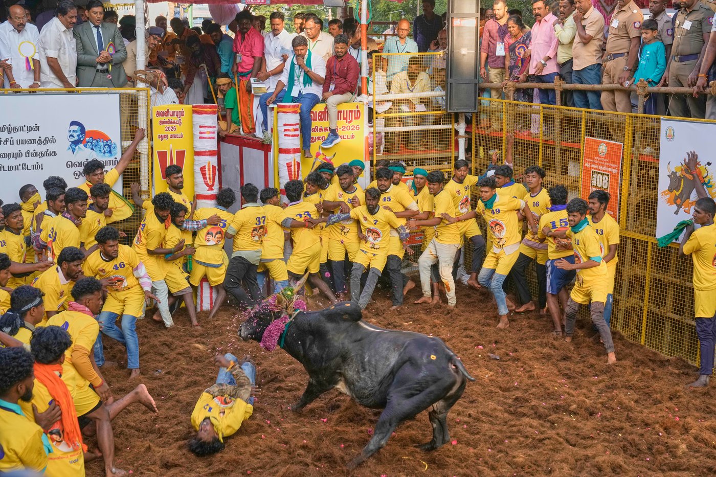 PHOTO ESSAY: Centuries-old bull festival in southern India remains a popular draw | iNFOnews.ca