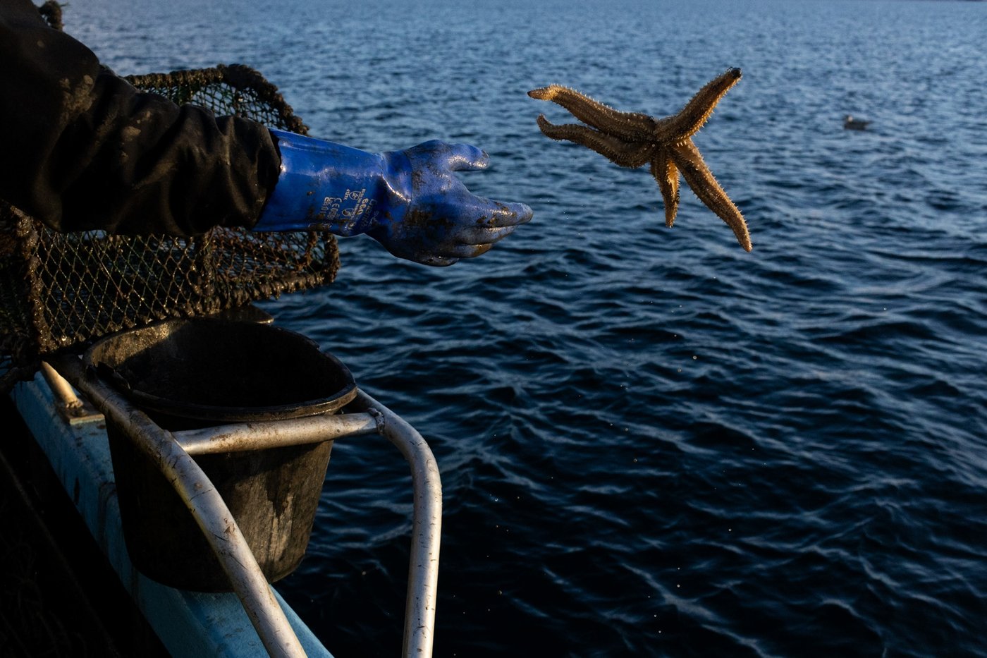 In Scotland, fishing trawlers scrape the seabed despite protection promises | iNFOnews.ca