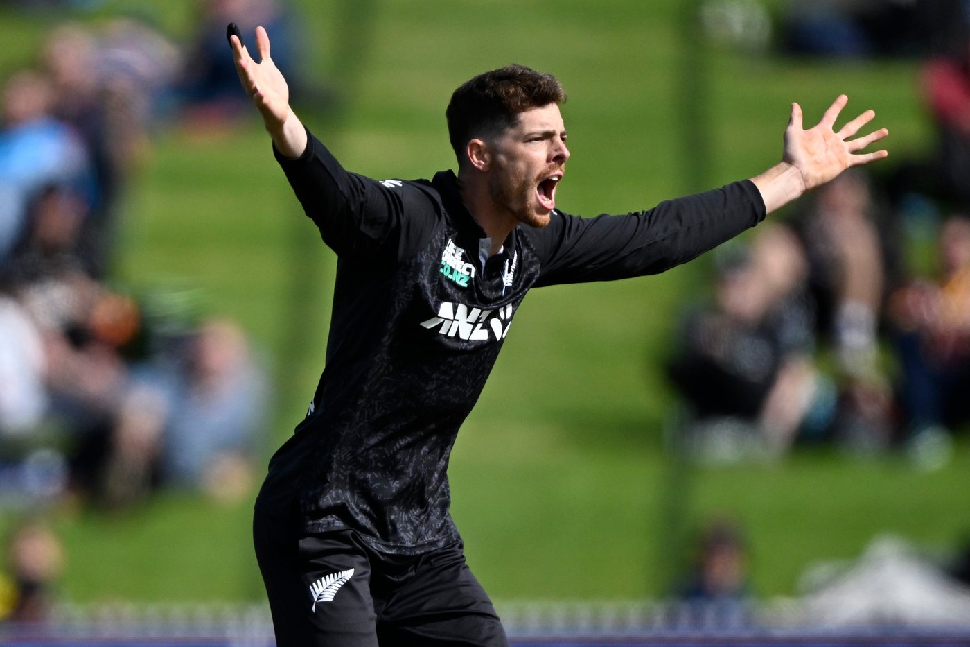 New Zealand beats West Indies by 8 wickets in the 5th T20; wins the series 3-1 | iNFOnews.ca New Zealand beats West Indies by 8 wickets in the 5th T20; wins the series 3-1 | iNFOnews.ca