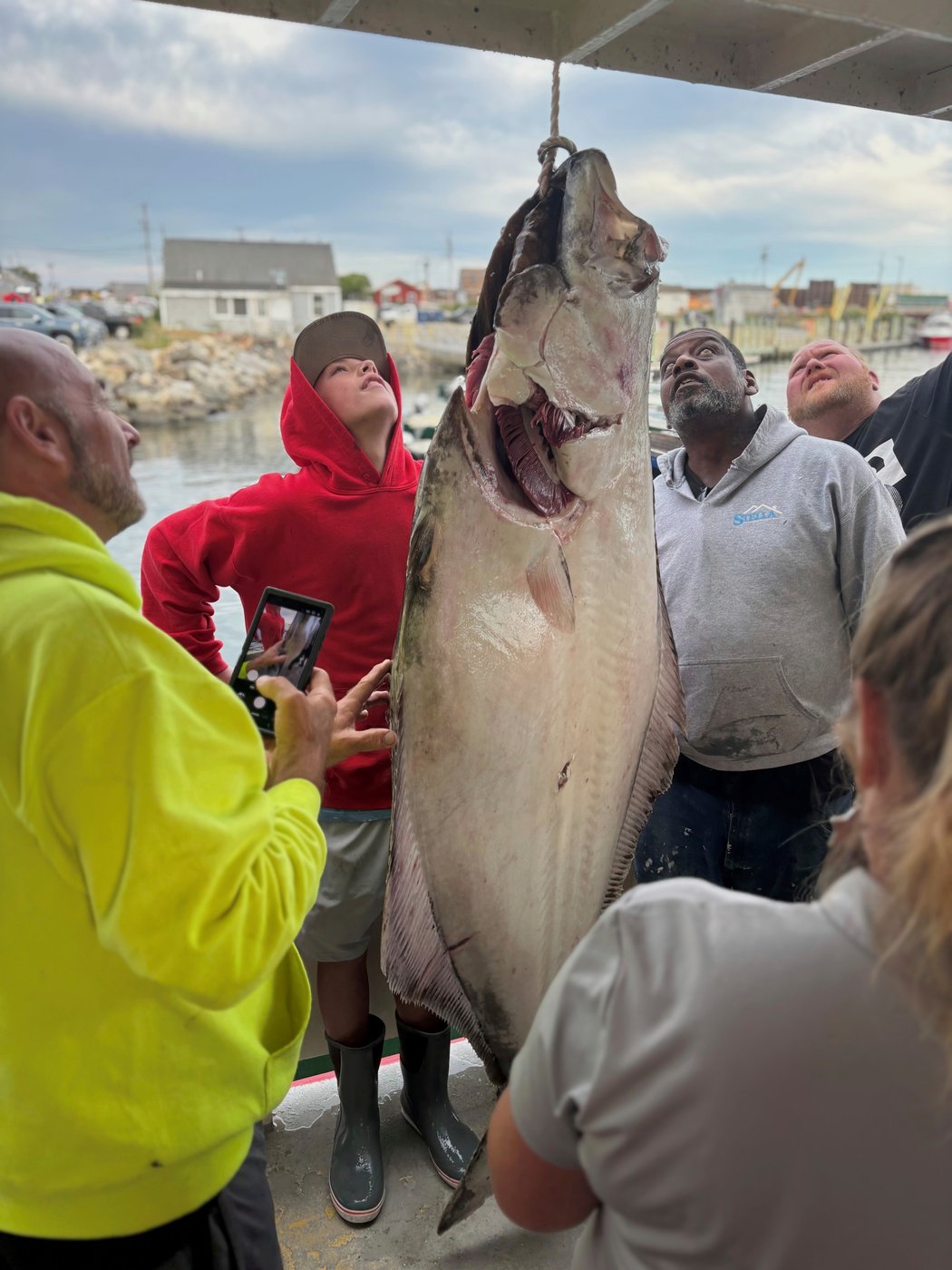 Young man and the sea: Teen fishing off New England coast catches huge halibut bigger than him | iNFOnews.ca