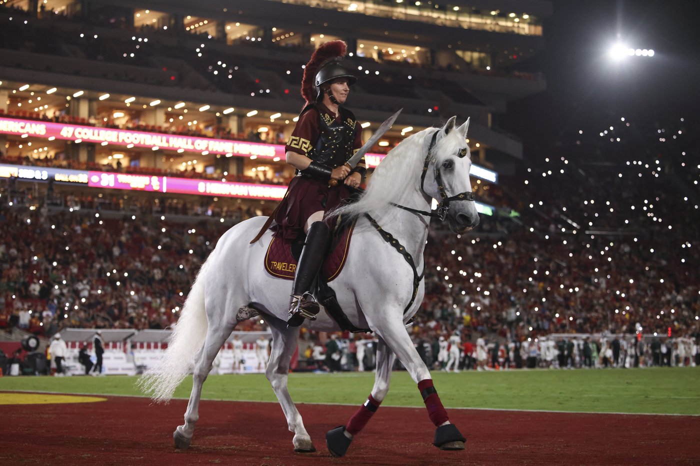 From Ralphie to Uga, live animal mascots inspire fans and create deep connections with their teams | iNFOnews.ca