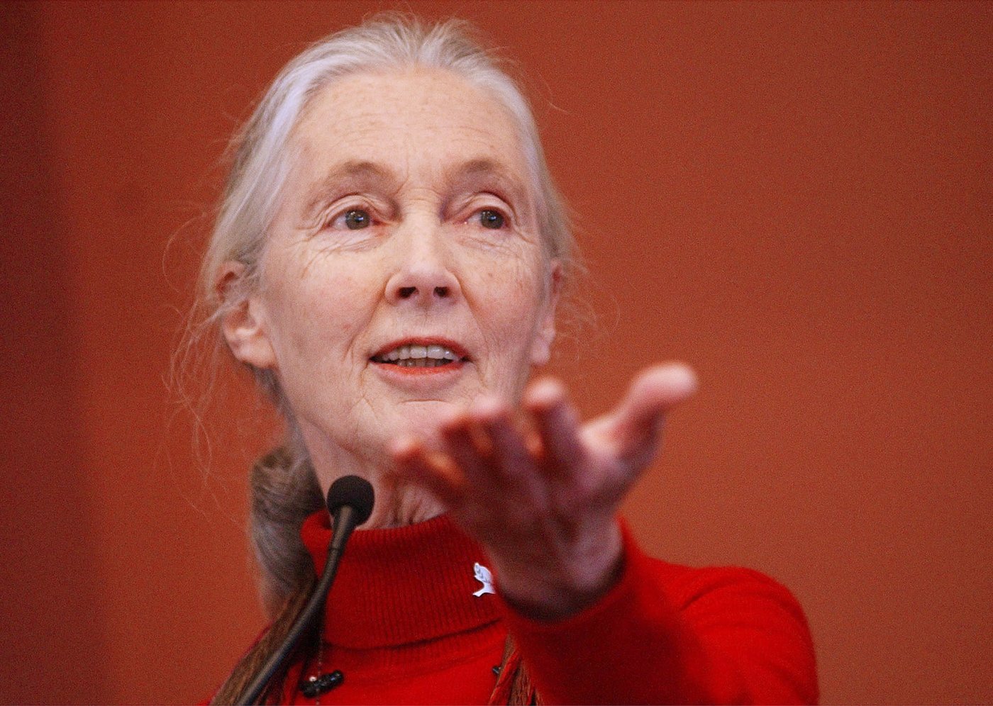 Remembering Jane Goodall in photos: the conservationist renowned for chimpanzee research | iNFOnews.ca