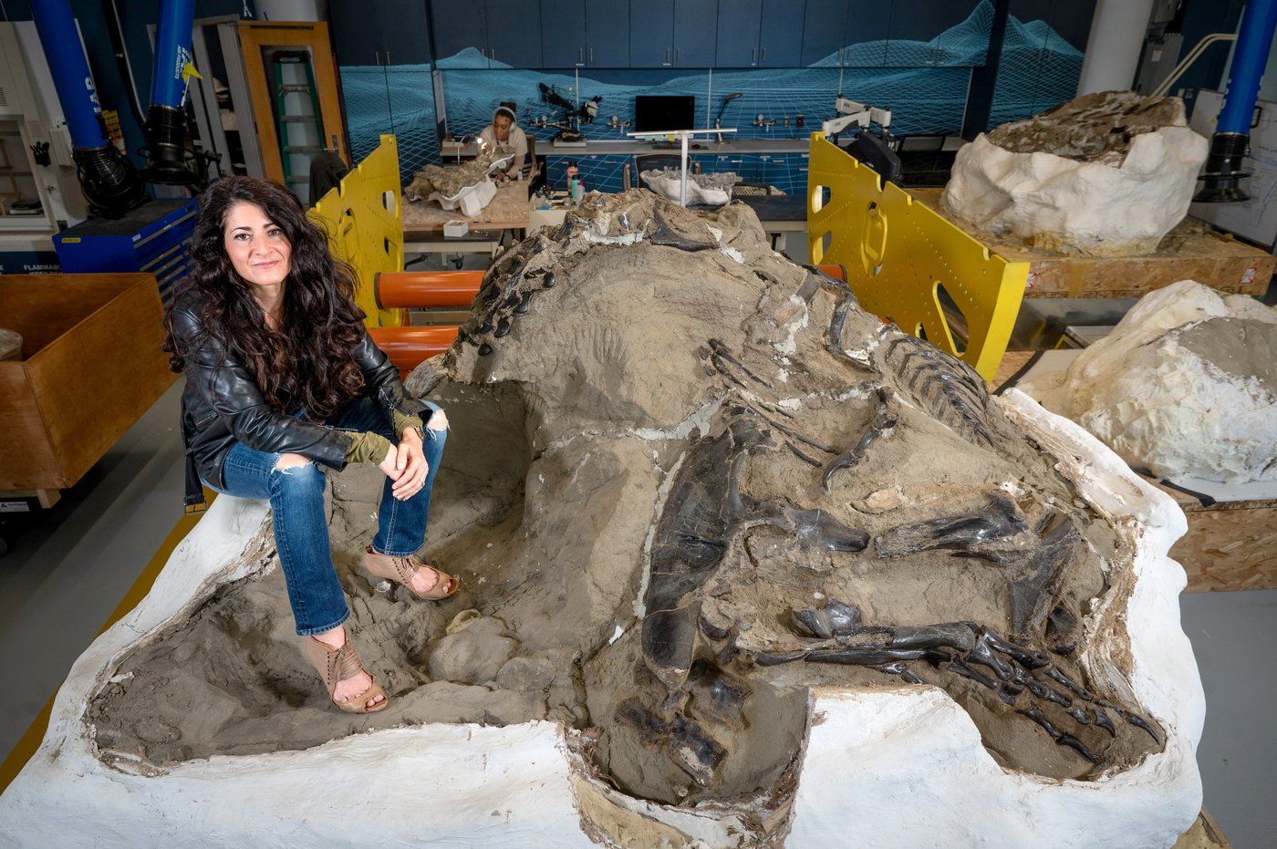 Young T. rex or a new dinosaur? New bones add to the debate | iNFOnews.ca Young T. rex or a new dinosaur? New bones add to the debate | iNFOnews.ca