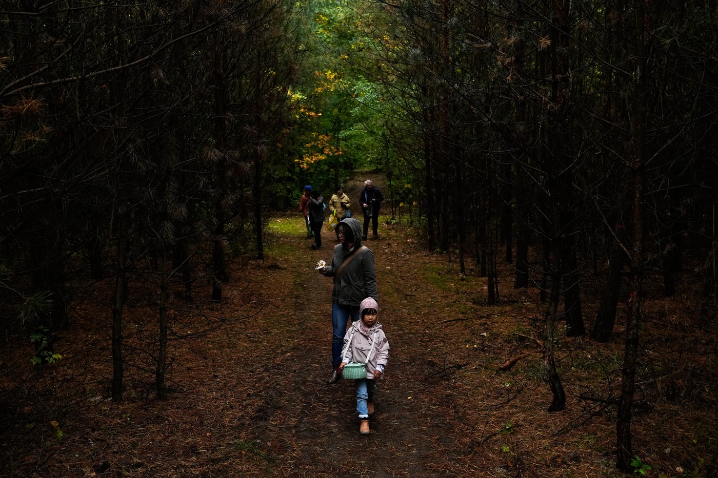 Mushroom hunting in Germany sees a revival thanks to veganism and medicinal fungi, in photos | iNFOnews.ca