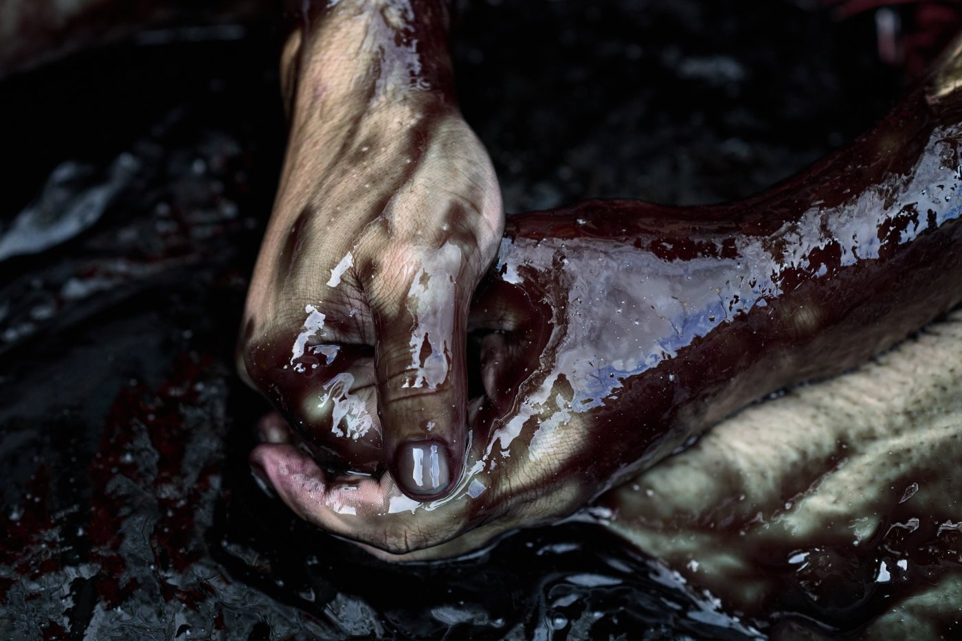 The top photos of the day by AP's photojournalists | iNFOnews.ca