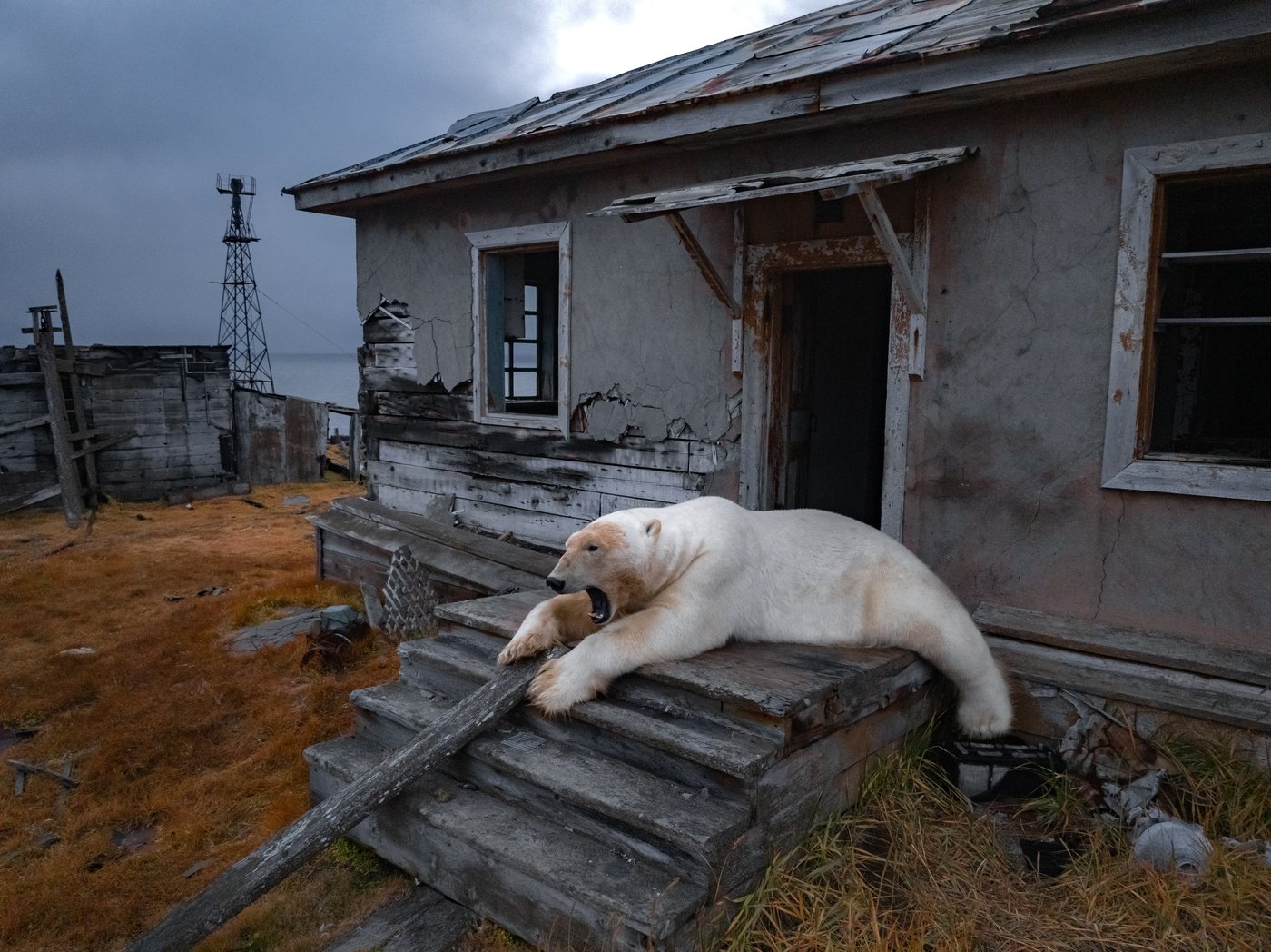 The top photos of the day by AP's photojournalists | iNFOnews.ca