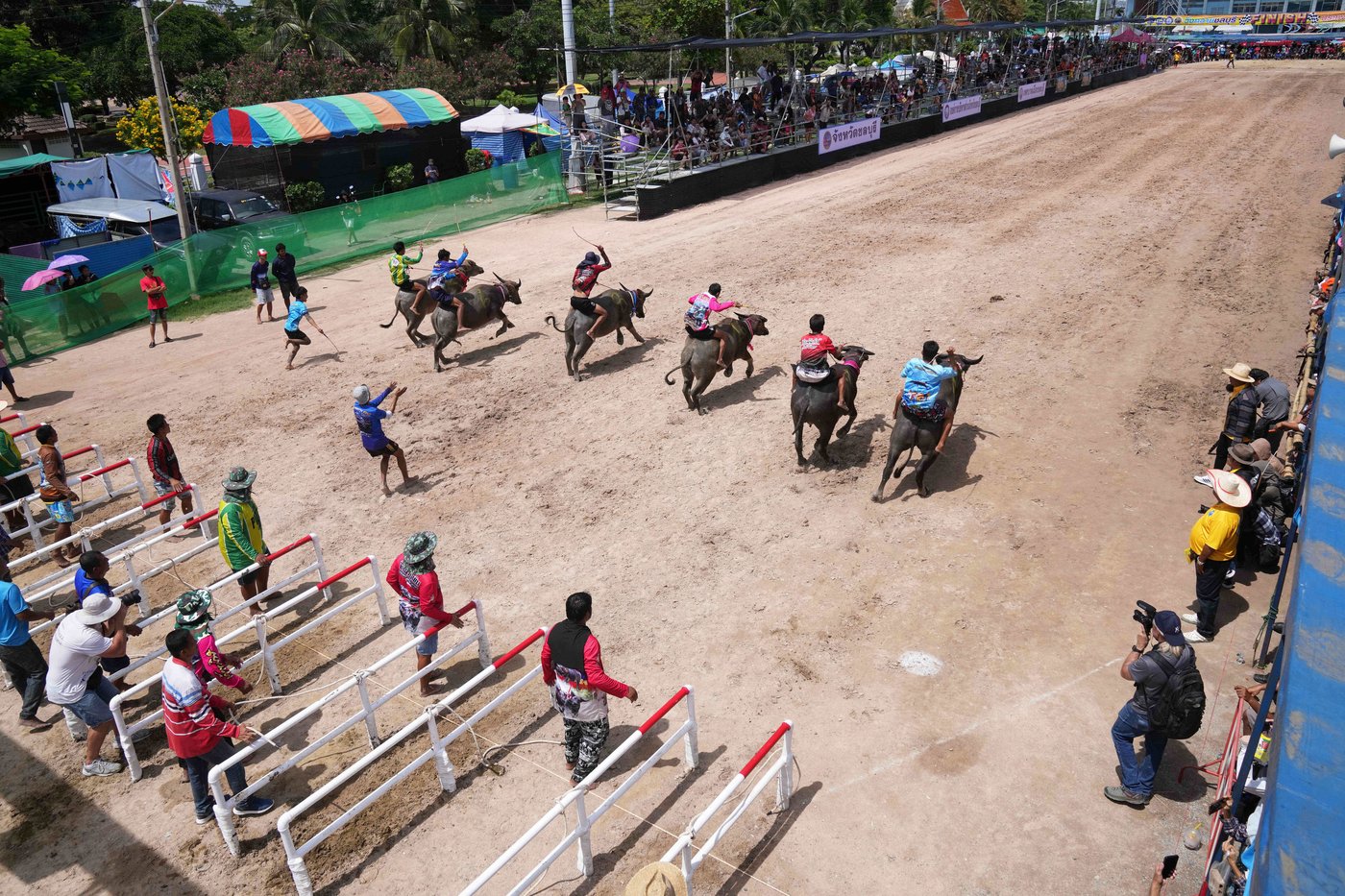 Photos show a water buffalo festival in Thailand at the start of harvest season | iNFOnews.ca
