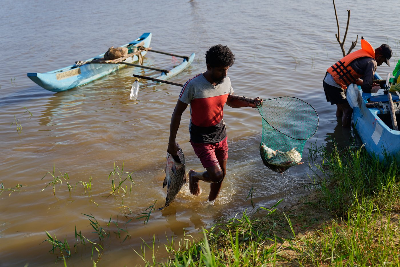 Sri Lankan freshwater fishers keen to turn invasive species threat into an opportunity | iNFOnews.ca